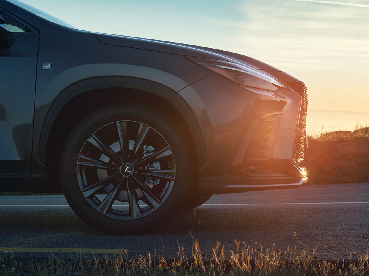 Lexus Tire Storage